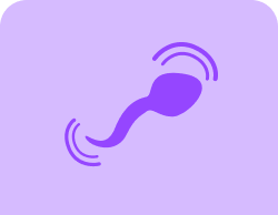 Other Fertility Challenges Image