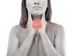 Thyroid Image